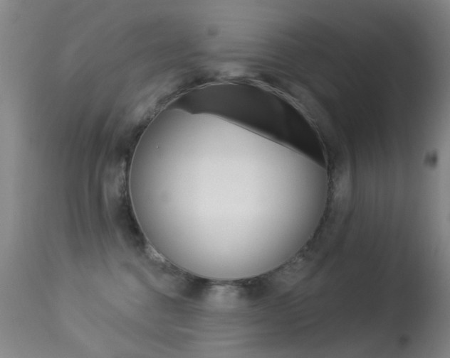 X0000113280376200909140947