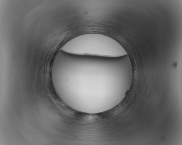 X0000113280379200909140947