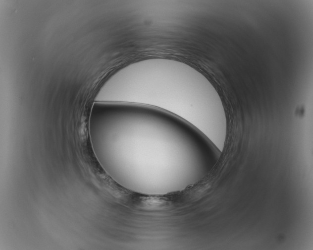 X0000113280380200909140947
