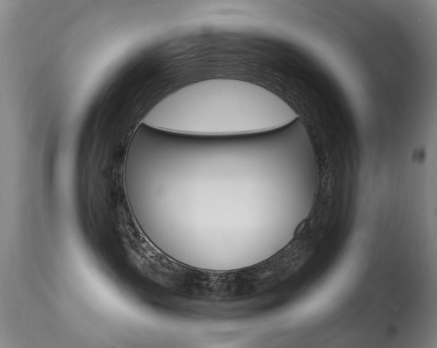 X0000113280383200909140947