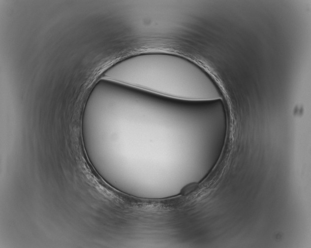 X0000113280385200909140946
