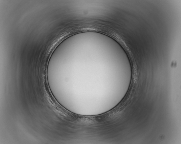 X0000113280386200909140946