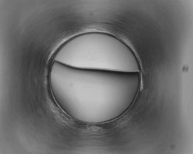 X0000113280387200909140946