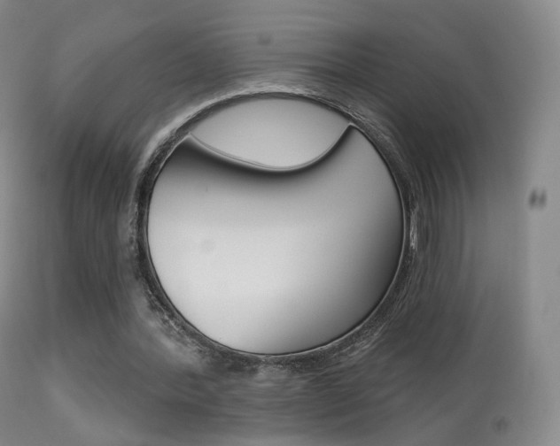 X0000113280388200909140946