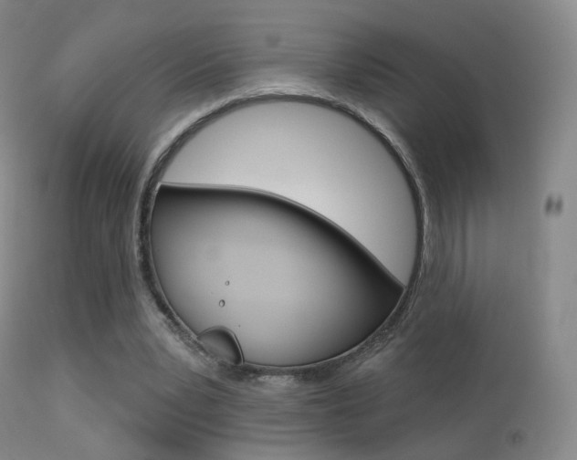 X0000113280391200909140946