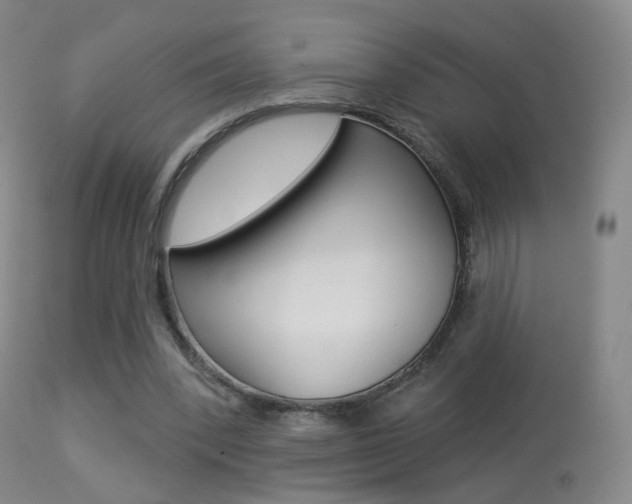 X0000113280392200909140946