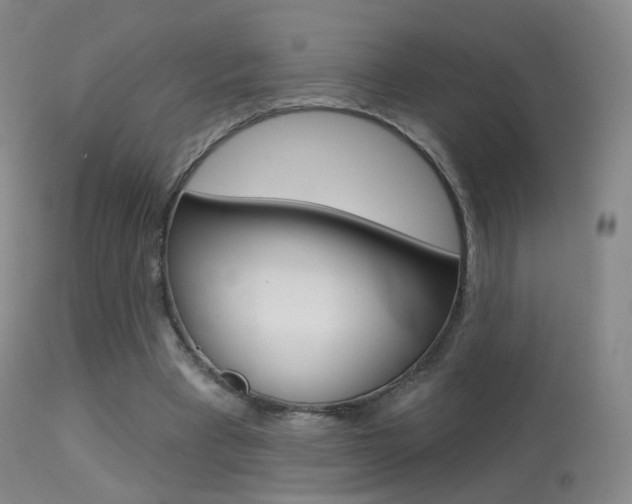 X0000113280393200909140946