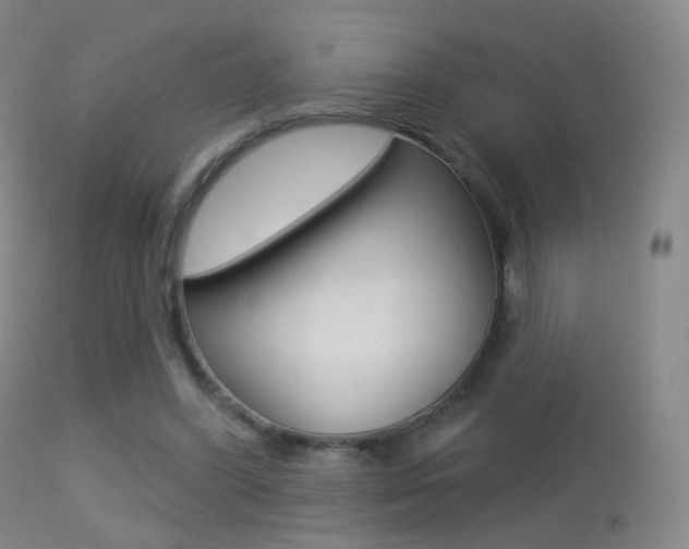 X0000113280396200909140946