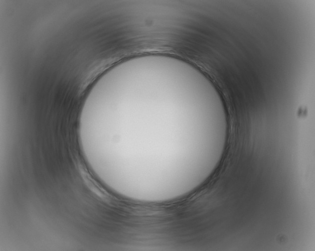 X0000113280397200909140946