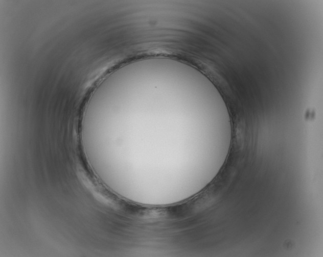 X0000113280398200909140946