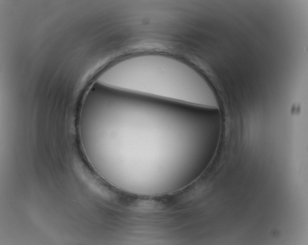 X0000113280399200909140946