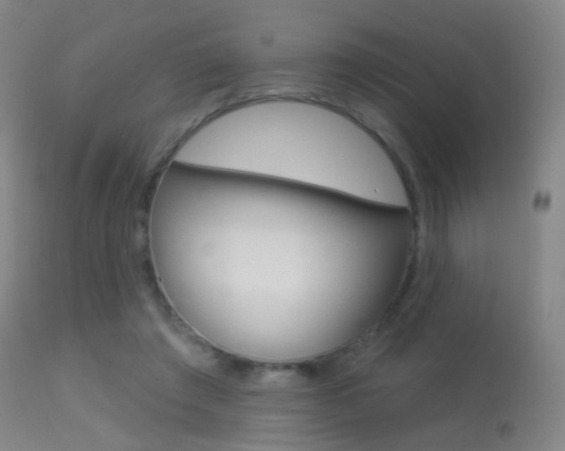 X0000113280401200909140946