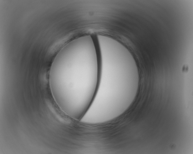 X0000113280405200909140946
