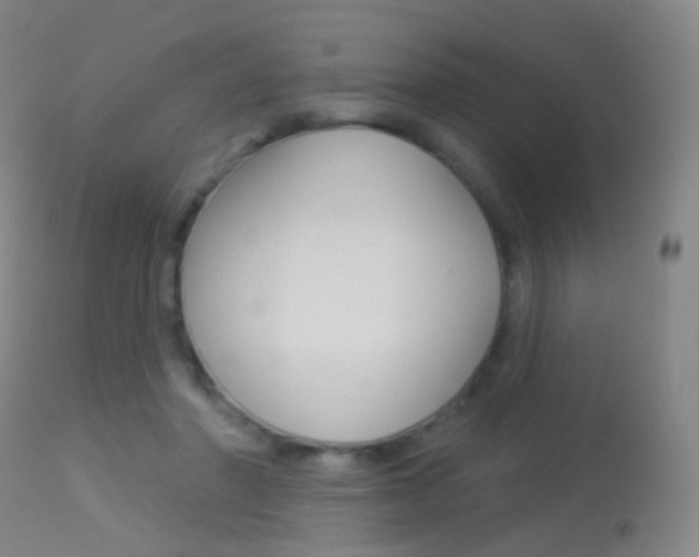 X0000113280406200909140946