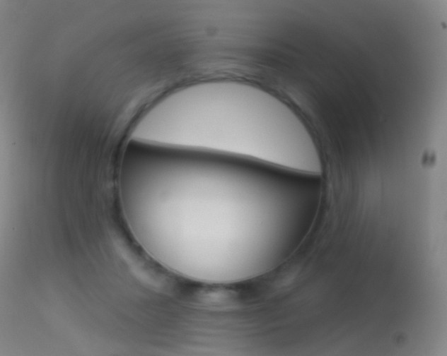 X0000113280407200909140946