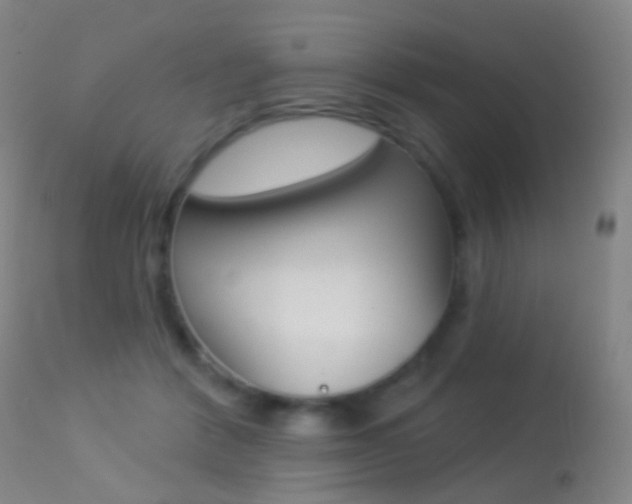 X0000113280412200909140945