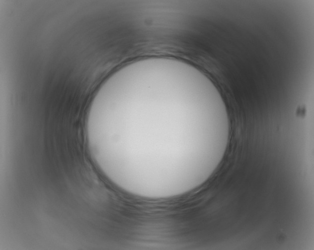 X0000113280415200909140945