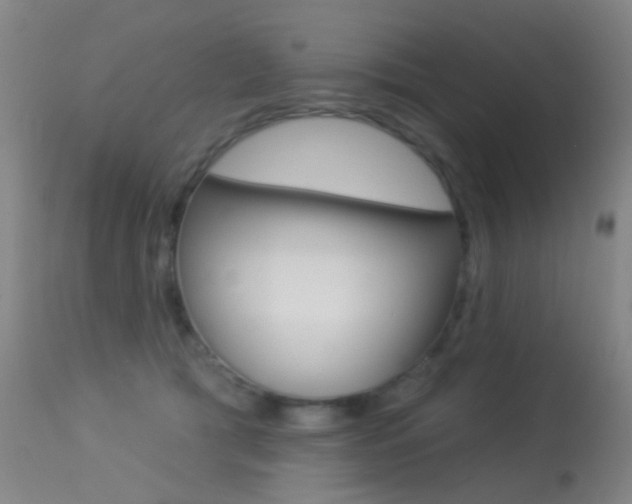 X0000113280417200909140945