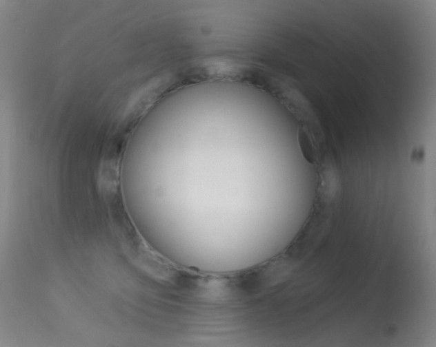 X0000113280419200909140945