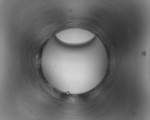X0000113280420200909140945