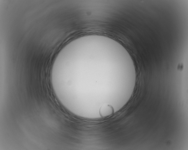 X0000113280421200909140945