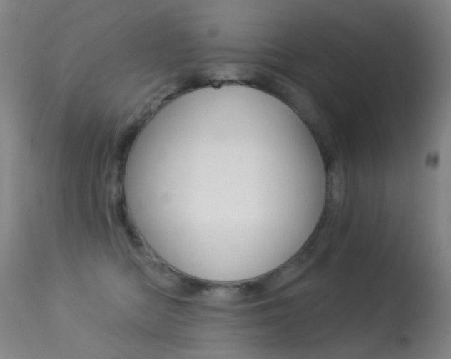 X0000113280422200909140945