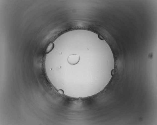 X0000113280423200909140945