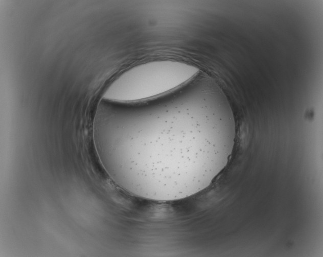 X0000113280424200909140945