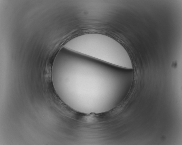 X0000113280425200909140945