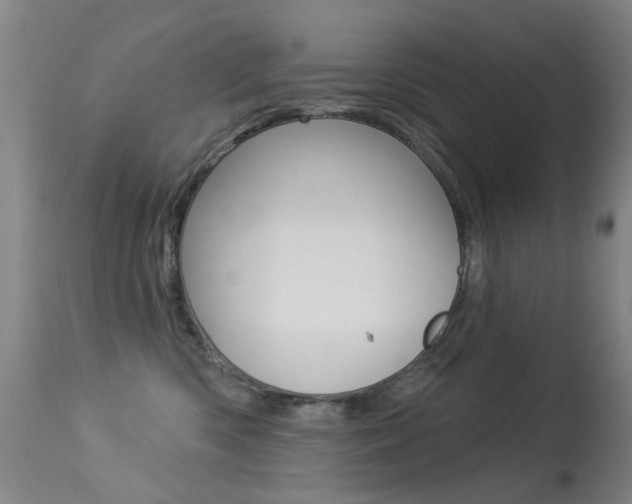 X0000113280426200909140945