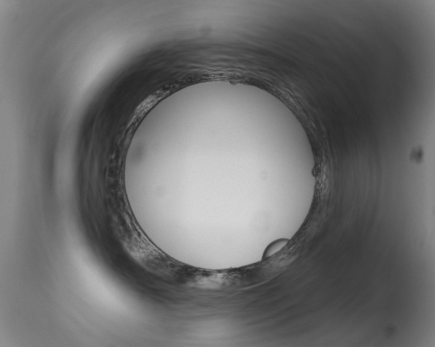 X0000113280430200909140945
