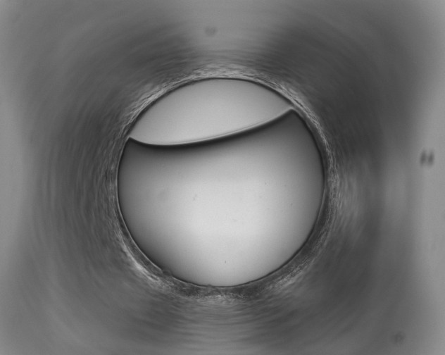 X0000113280433200909140945