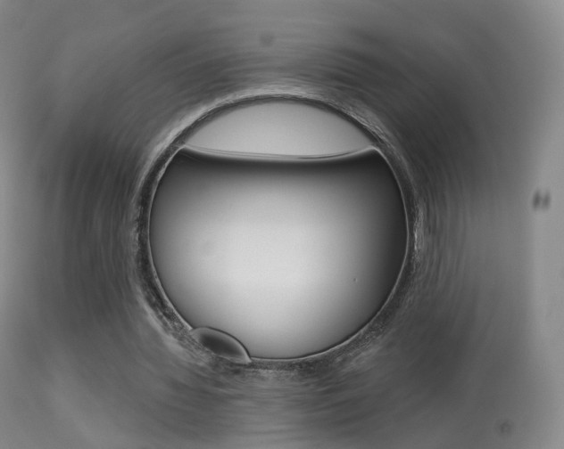 X0000113280436200909140945
