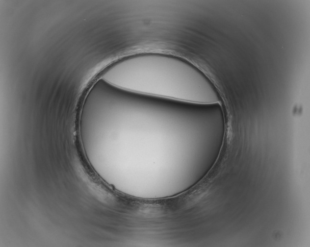 X0000113280438200909140945