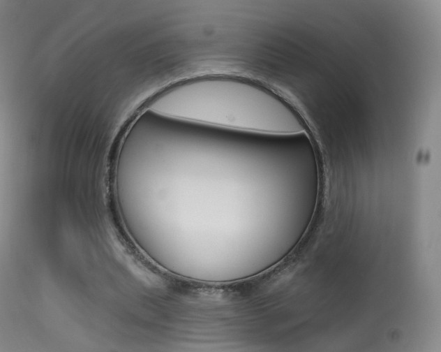 X0000113280439200909140945