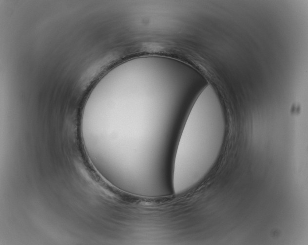 X0000113280442200909140945