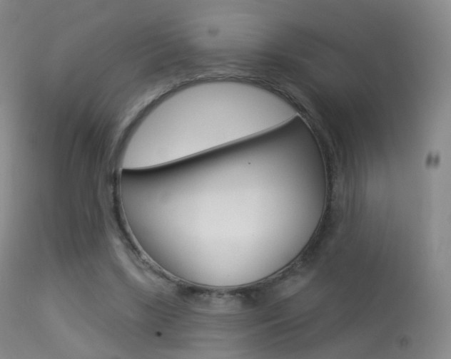 X0000113280443200909140945