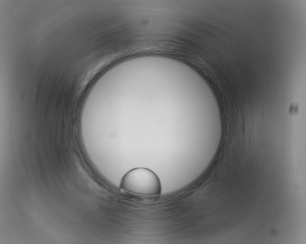 X0000113280444200909140945