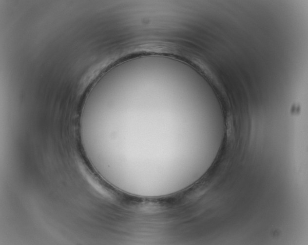 X0000113280445200909140945