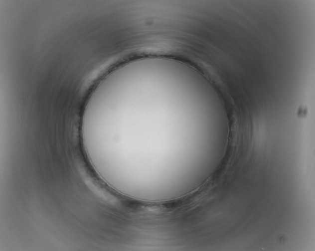 X0000113280446200909140945