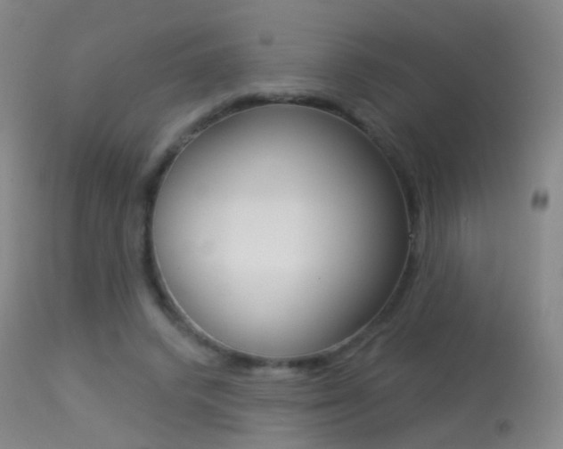 X0000113280448200909140945