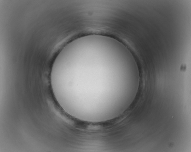 X0000113280450200909140945