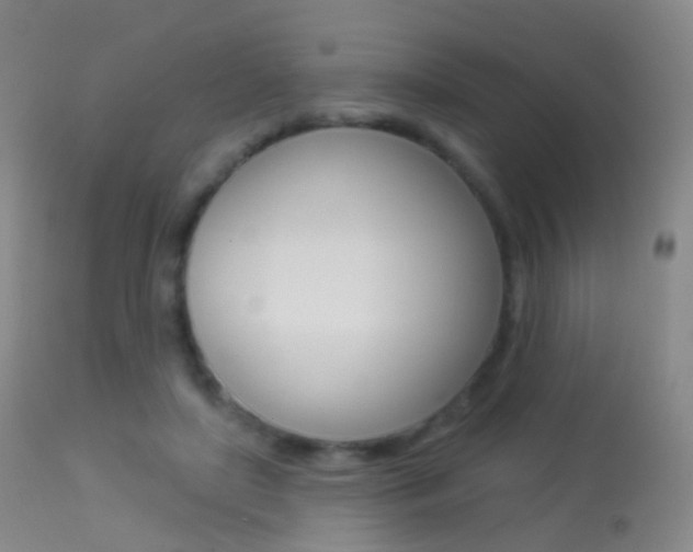 X0000113280451200909140945