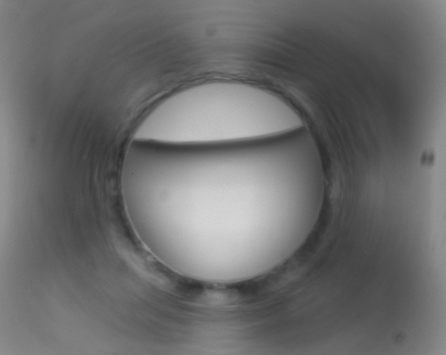 X0000113280455200909140945