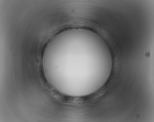 X0000113280463200909140945