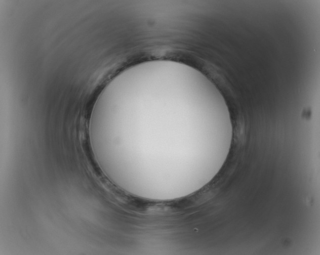 X0000113280470200909140945