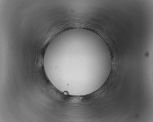 X0000113280474200909140945