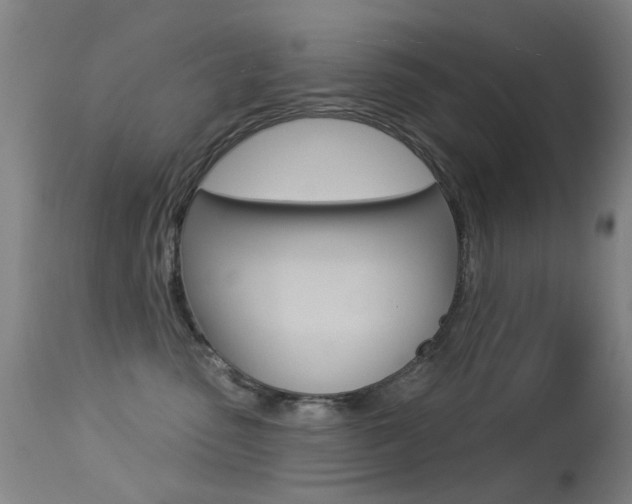 X0000113280475200909140945