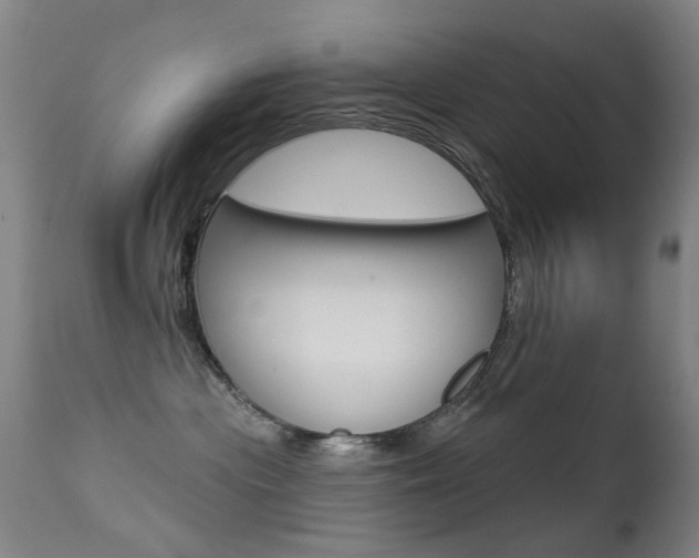 X0000113280477200909140945