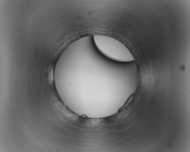 X0000113280479200909140945